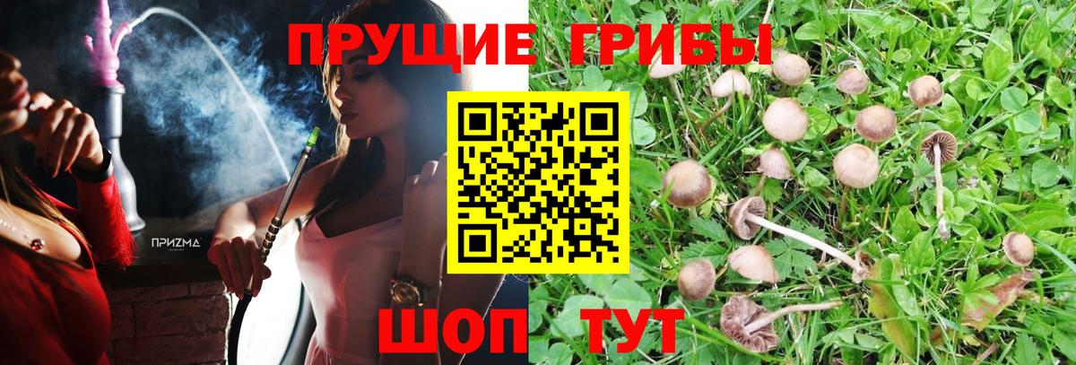 Галлюциногенные грибы мицелий  Вход с VPN  Бахчисарай 