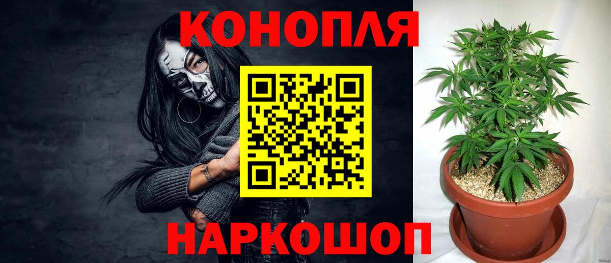 Бошки марихуана MAZAR Бахчисарай